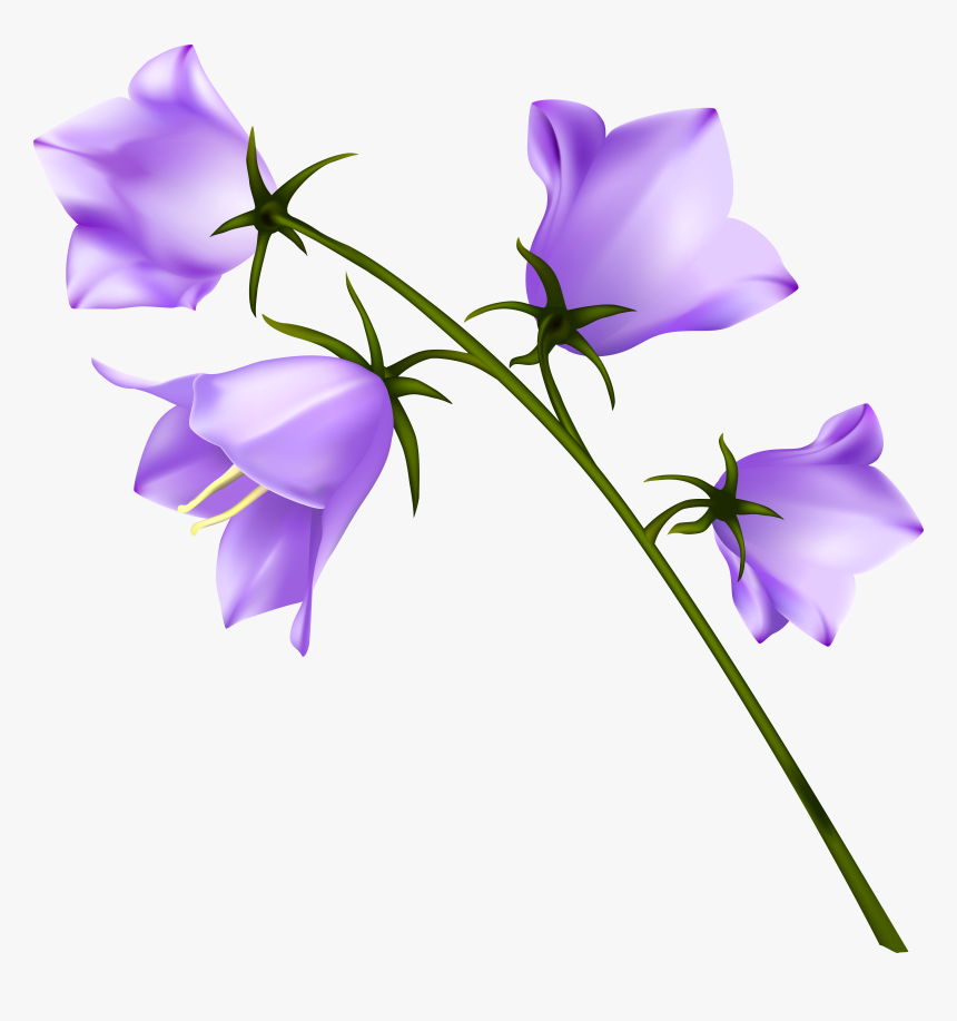 Spring Flowers Png , Png Download, Transparent Png