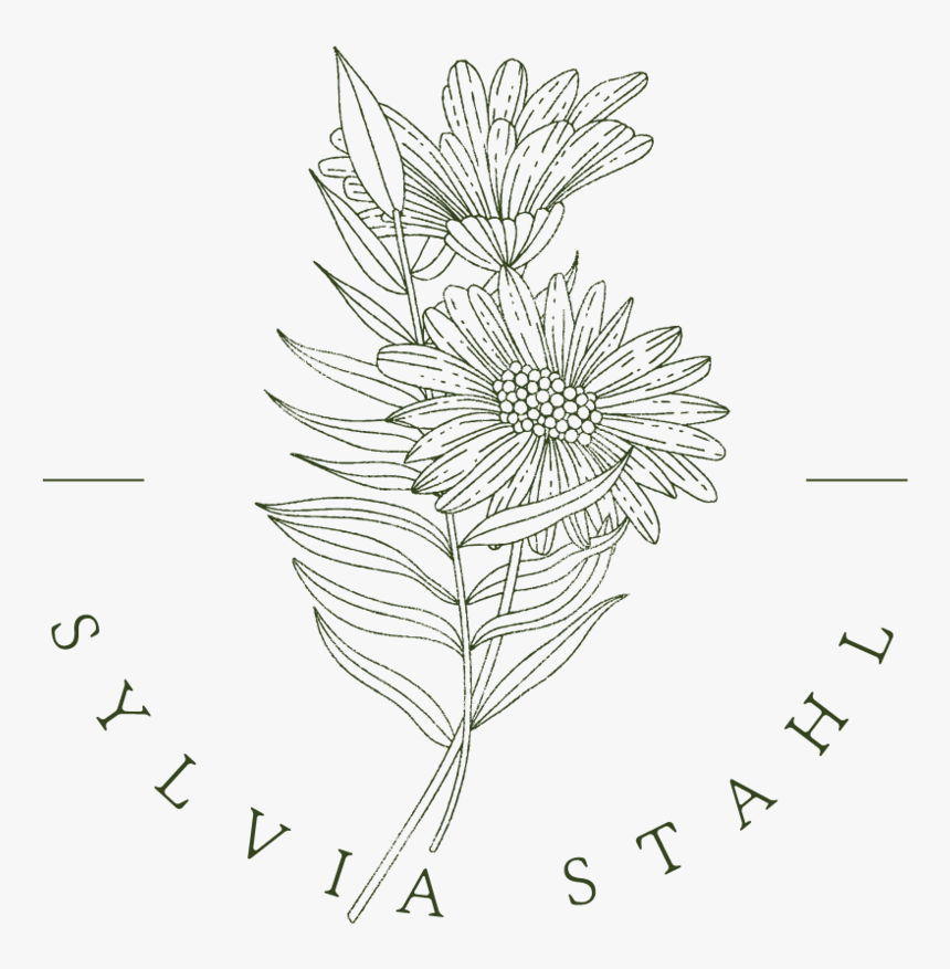 Ss Half Circle Outline 04, HD Png Download