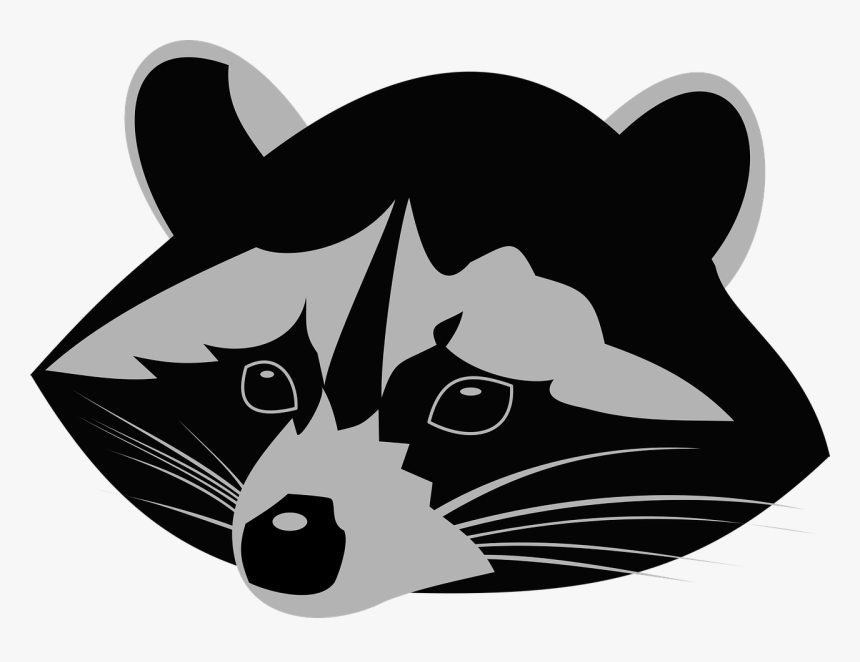 Raccoon Png, Transparent Png