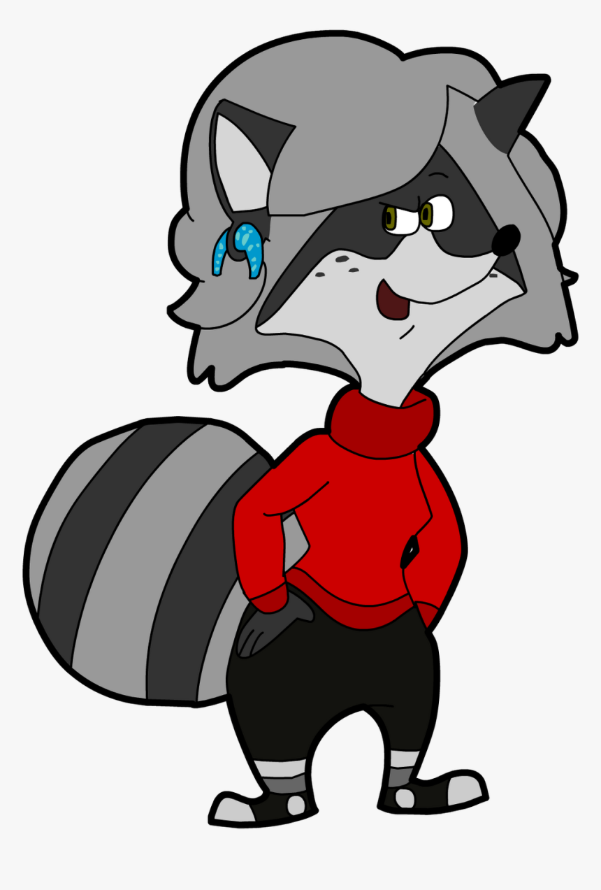 Raccoon Png, Transparent Png