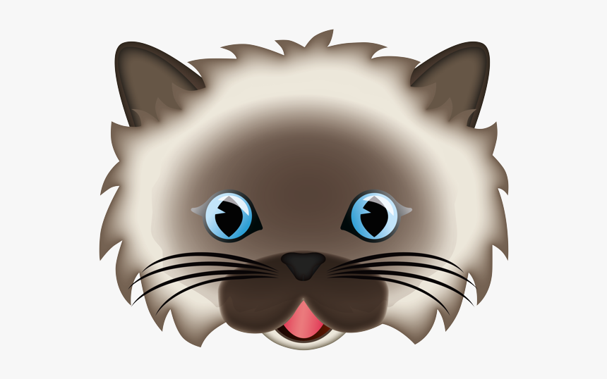 Cat Face Png, Transparent Png