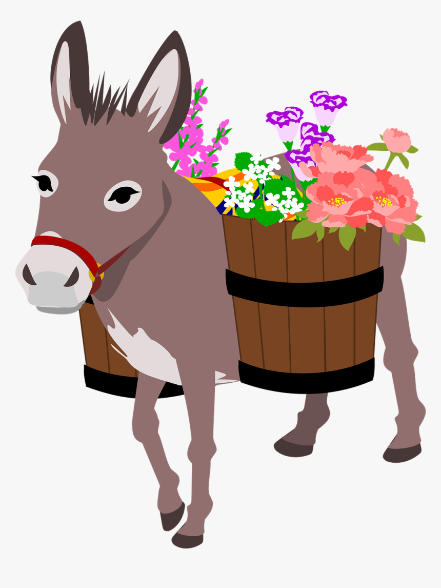 Donkey Png, Transparent Png
