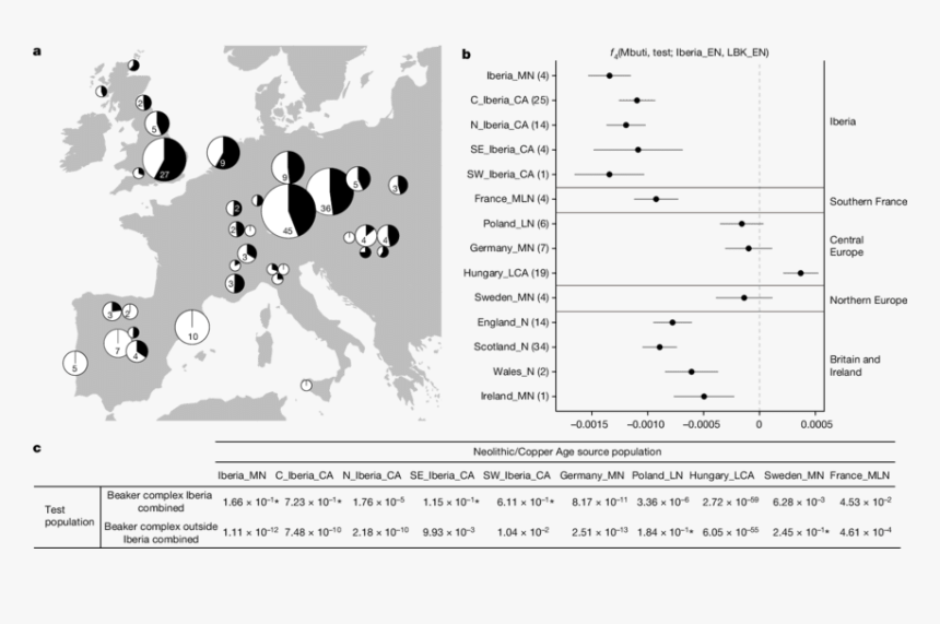 Beaker Png, Transparent Png