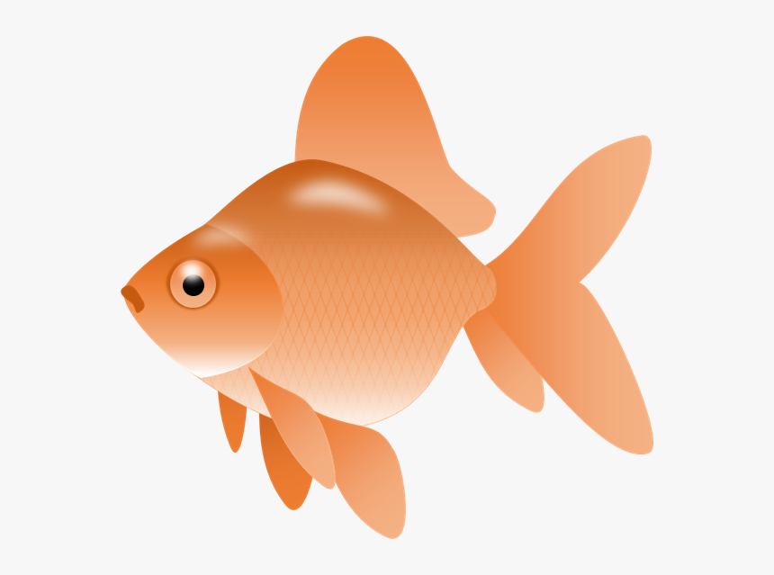 Gold Fish Clipart Picture Royalty Free Library Small, HD Png Download