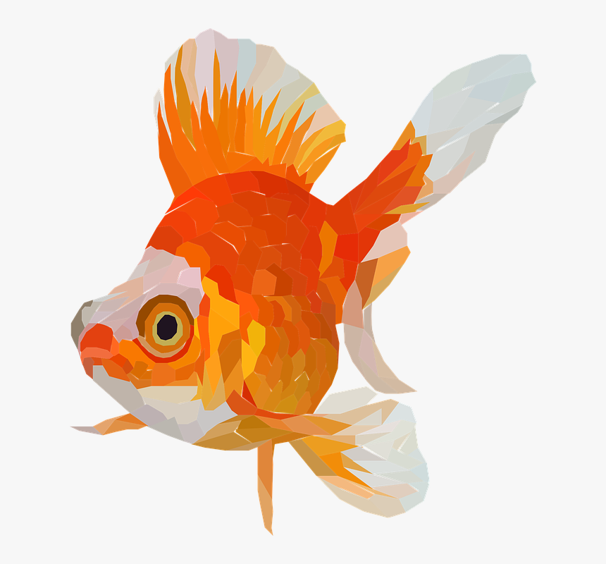 Goldfish Png, Transparent Png
