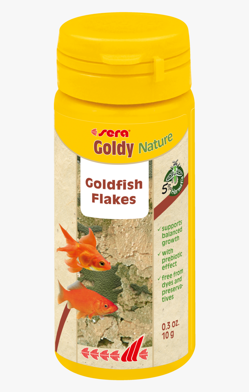 Goldfish Png, Transparent Png