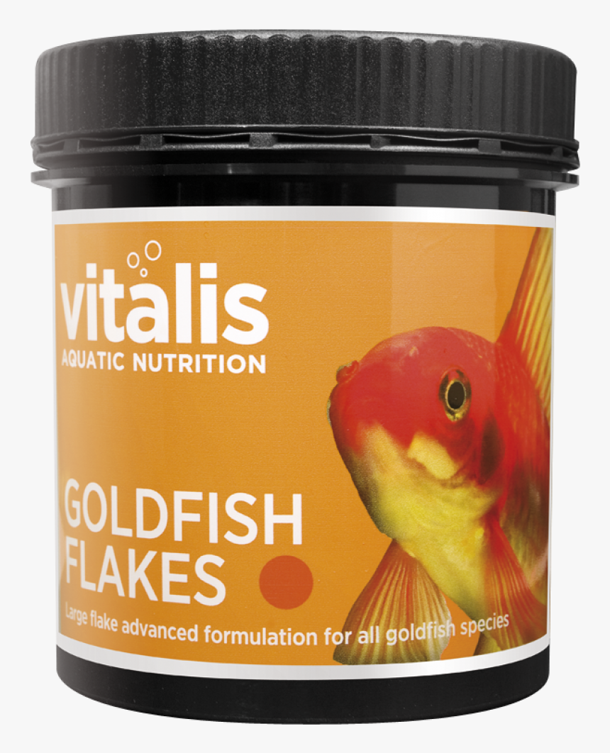 Goldfish Png, Transparent Png