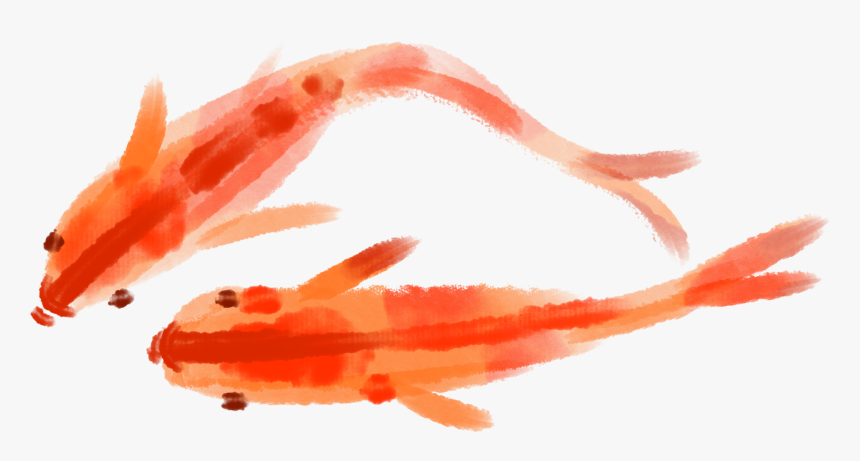 Transparent Fish Swimming Png, Png Download