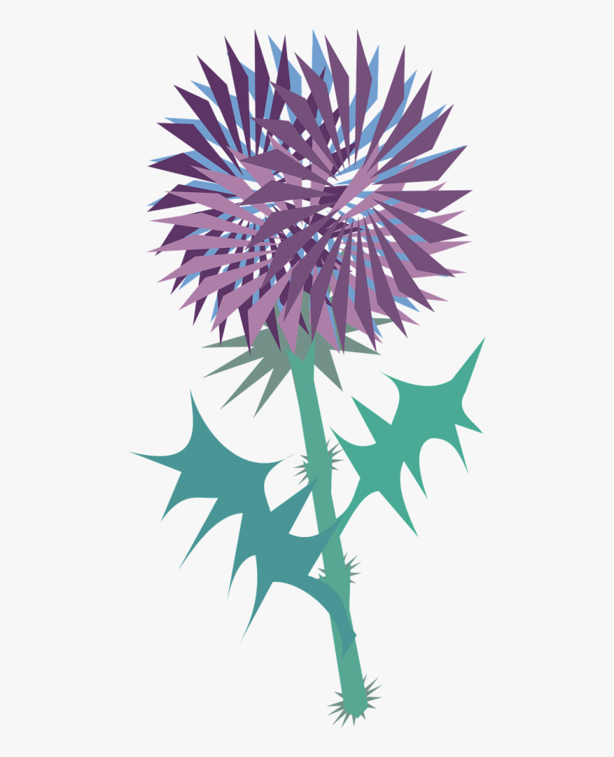 Transparent Thistles Clipart, HD Png Download