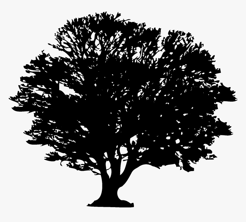 Transparent Forest Silhouette Png, Png Download
