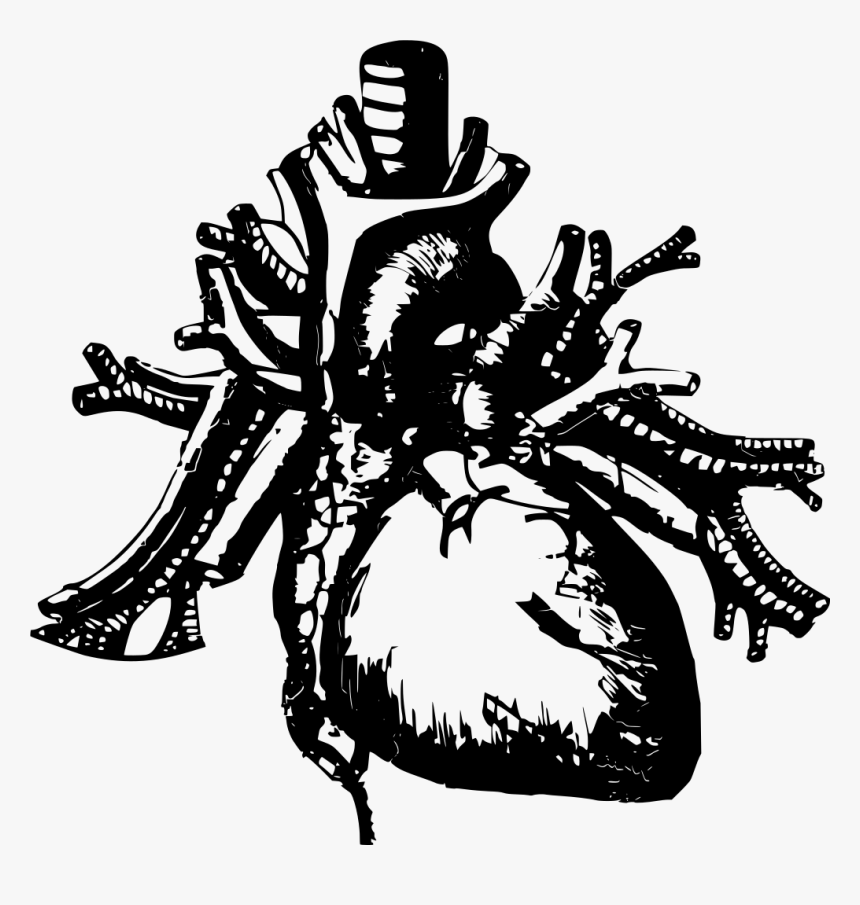 Black And White Human Heart Png , Png Download, Transparent Png
