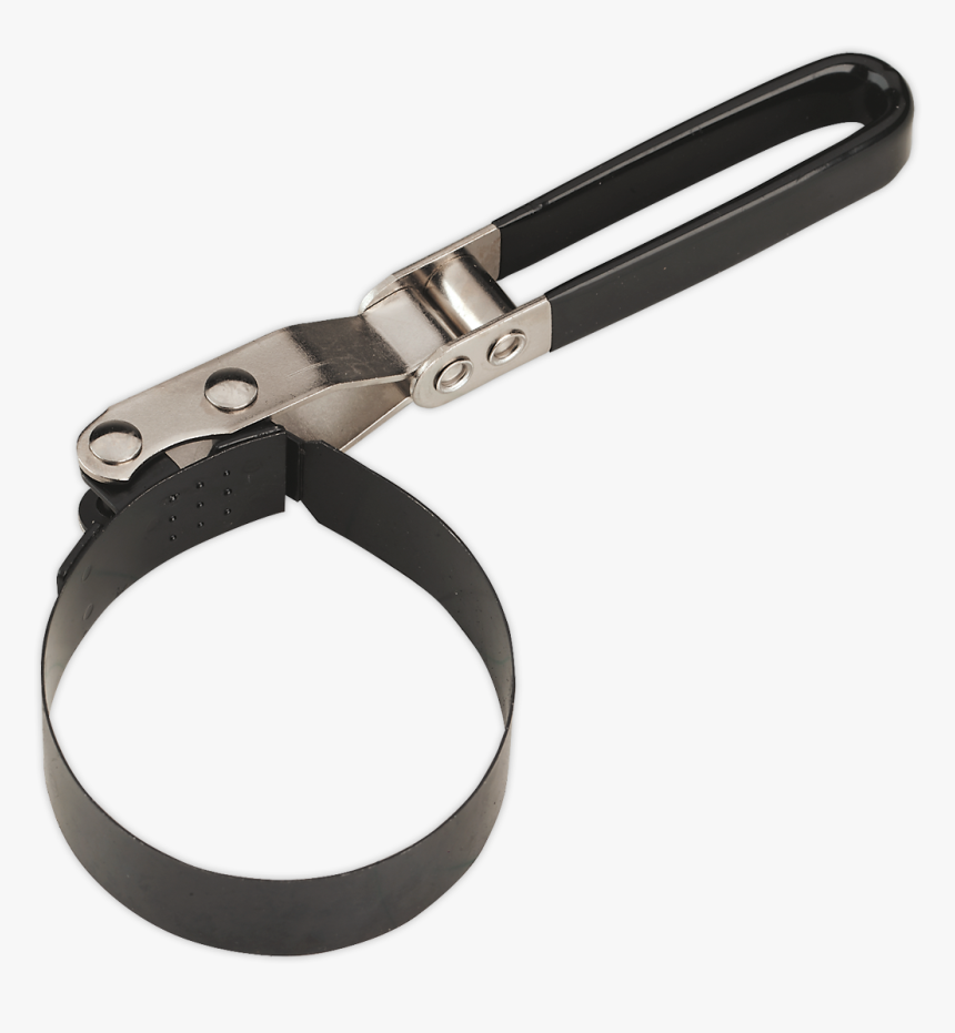 Dog Filter Png, Transparent Png