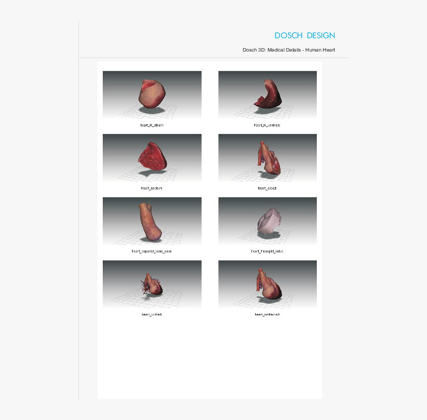 Human Heart Png, Transparent Png