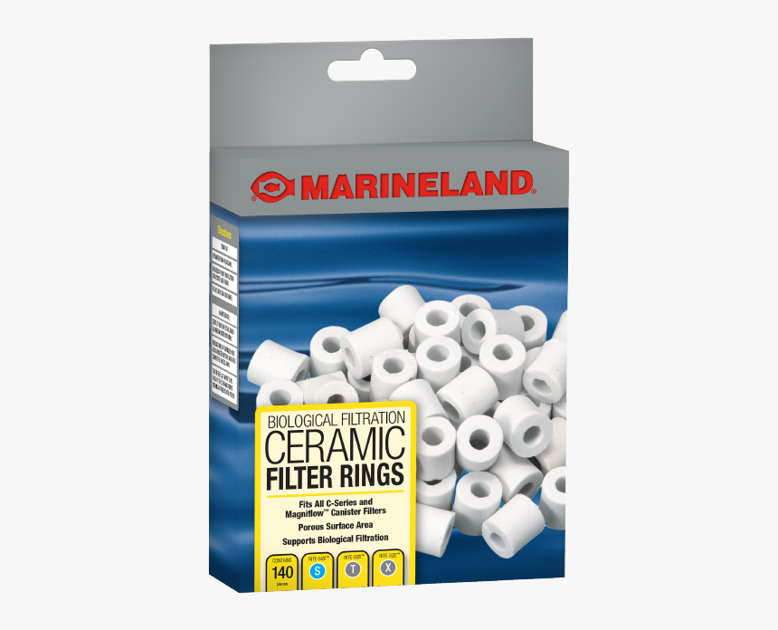 Dog Filter Png, Transparent Png