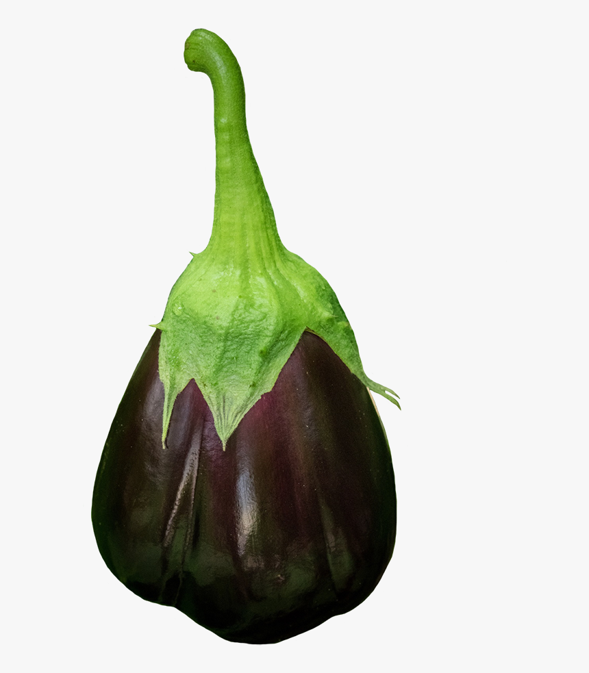 Eggplant With Stem, HD Png Download