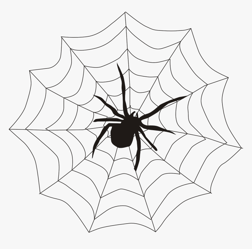 Spiderweb Png, Transparent Png