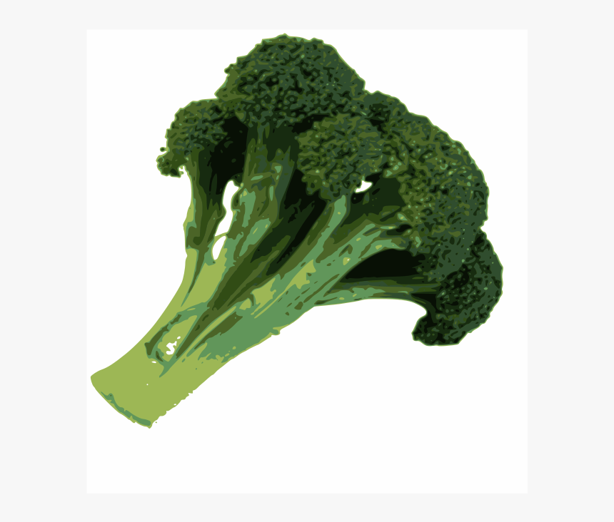 Broccoli Svg Clip Arts, HD Png Download