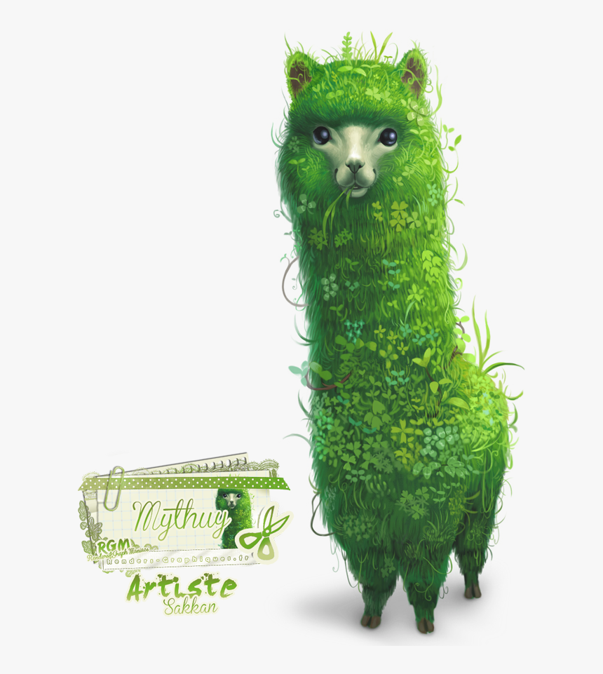 Llama Png, Transparent Png