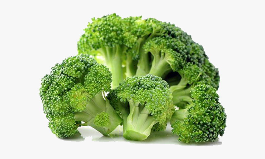 Broccoli Png Transparent Images, Png Download