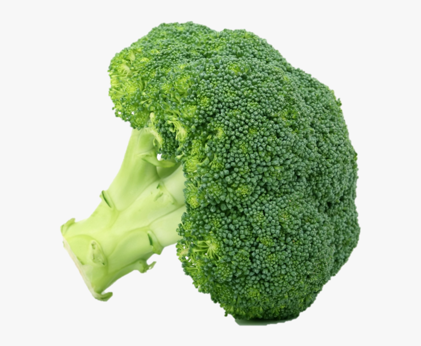 Broccoli, HD Png Download