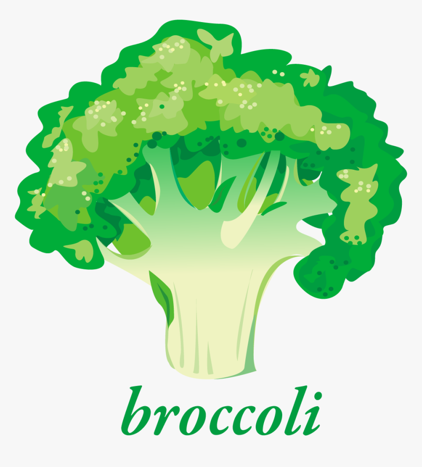 Broccoli Png, Transparent Png