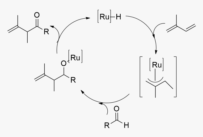 Ryu Mechanism Of Ru Catalyzed Hydroacylation Of A Diene, HD Png Download