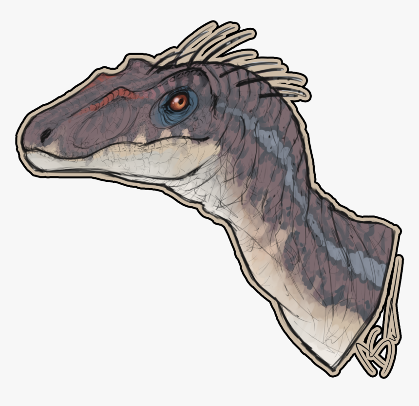 Velociraptor Png, Transparent Png