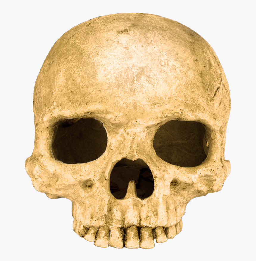 Scary Skull Transparent Background, HD Png Download