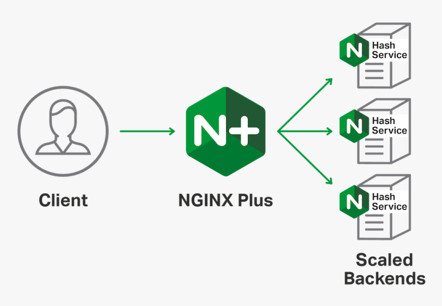 Green Check Png, Transparent Png