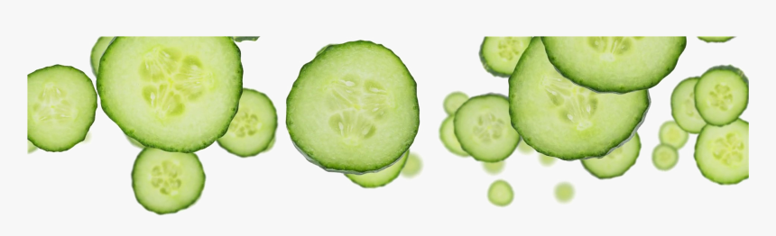 Sliced Cucumber Png Free Download, Transparent Png