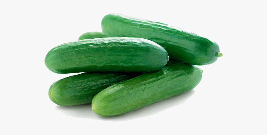 Cucumbers Png Picture, Transparent Png