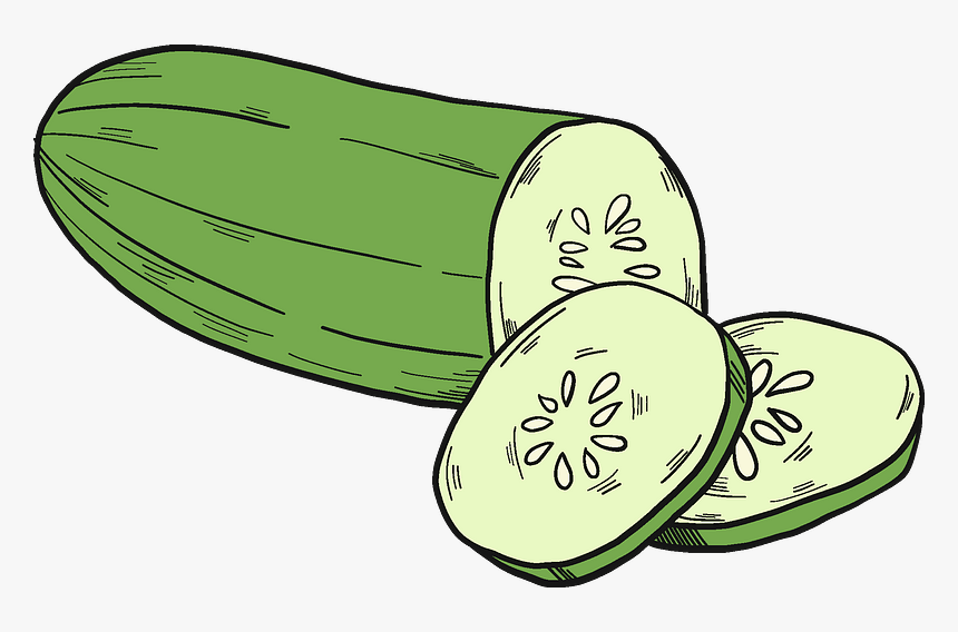 Cut Cucumber Clipart, HD Png Download