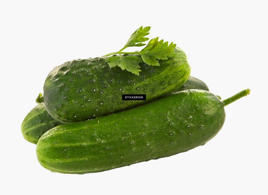 Cucumber , Png Download, Transparent Png