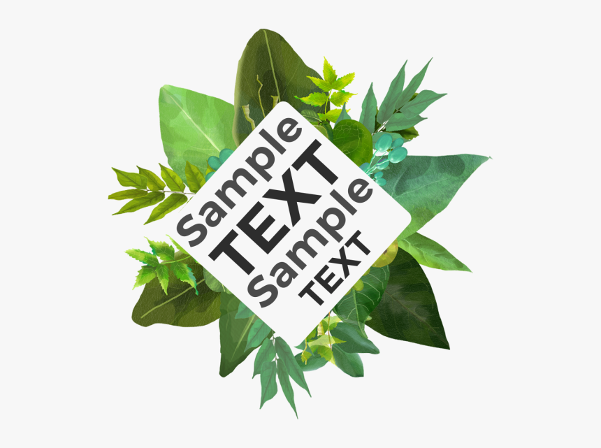 Trendy Watercolor Tropical Leaves With Flowers Badge,, HD Png Download