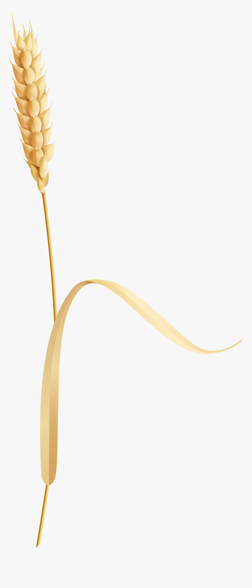 Wheatear Png Clip Art, Transparent Png