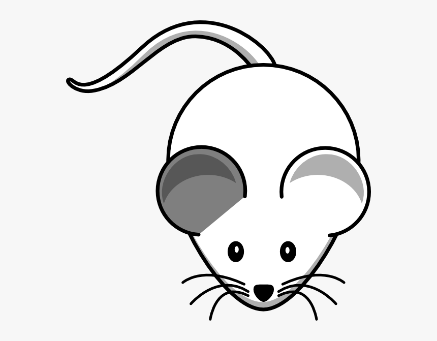 White Mouse Right Grey Ear Svg Clip Arts, HD Png Download