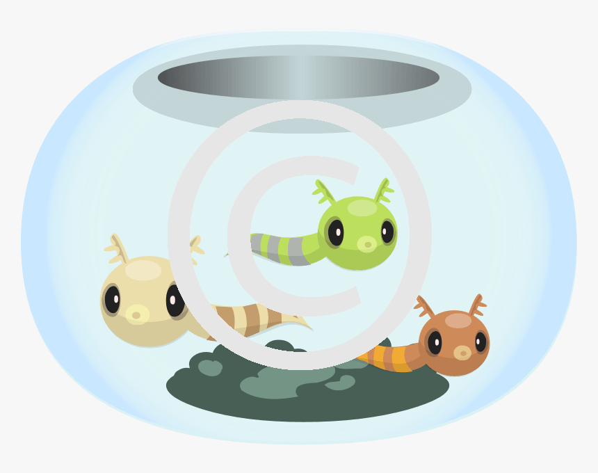 Bowl Png, Transparent Png