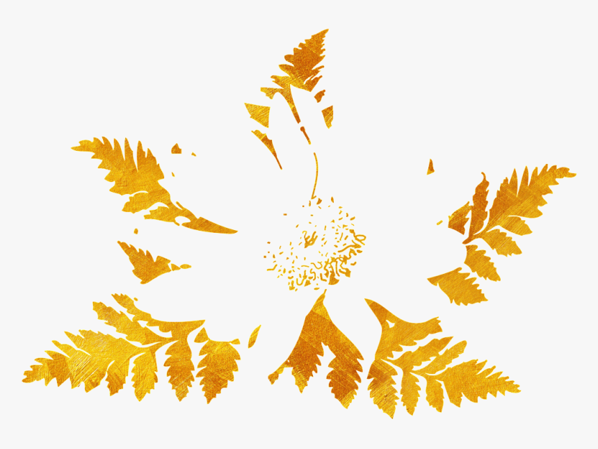 Pretty Maple Leaf Png, Transparent Png