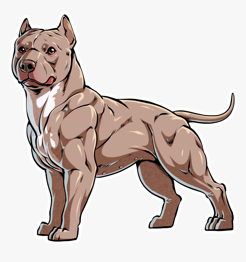 Its That Most Breeders Do Not Explain To New Owners, HD Png Download