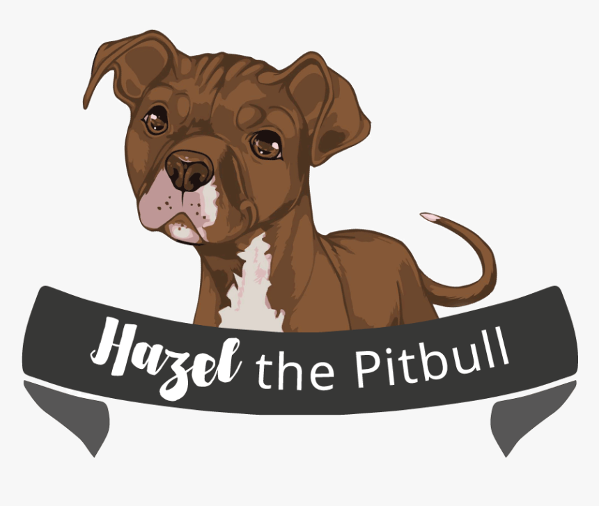 Alt Attribute , Png Download, Transparent Png