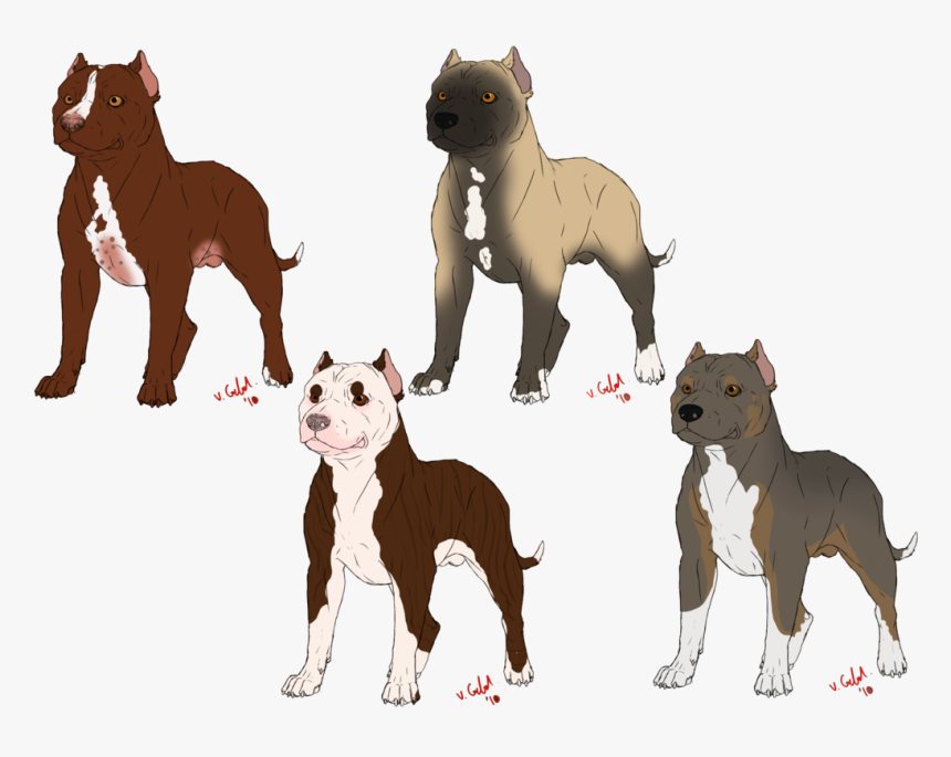 American Bully American Pit Bull Terrier American Bulldog, HD Png Download