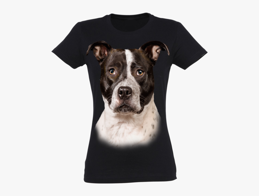 Pitbull Png, Transparent Png