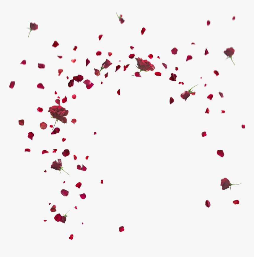 Floating Flower Crop Png, Transparent Png