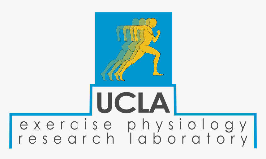 Ucla Logo Png , Png Download, Transparent Png