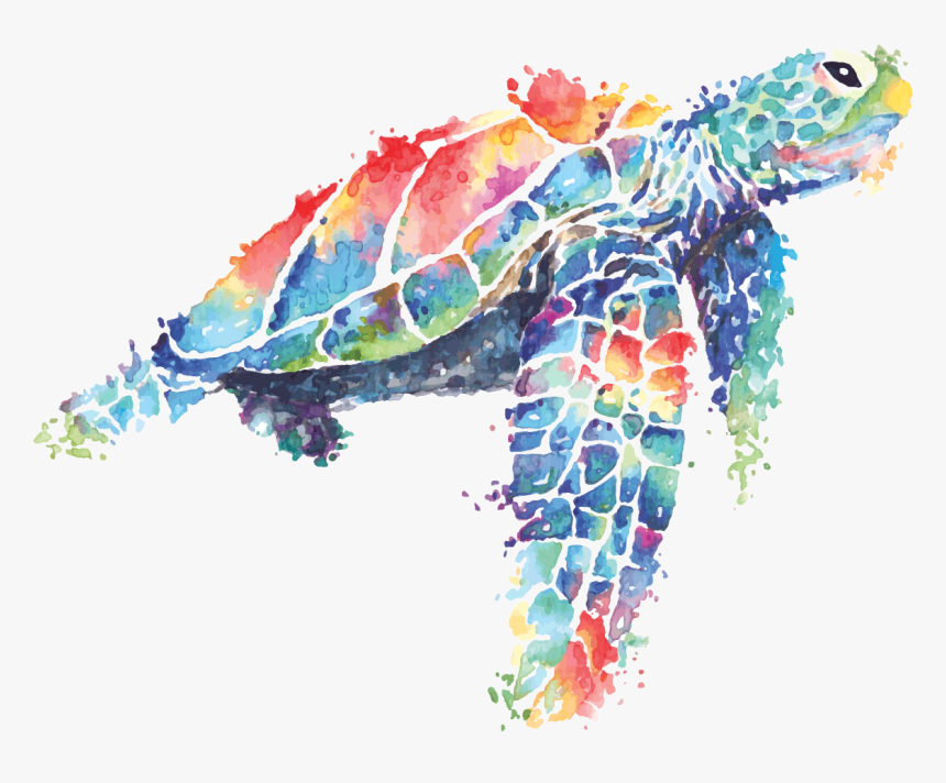 Sea Turtle Png, Transparent Png