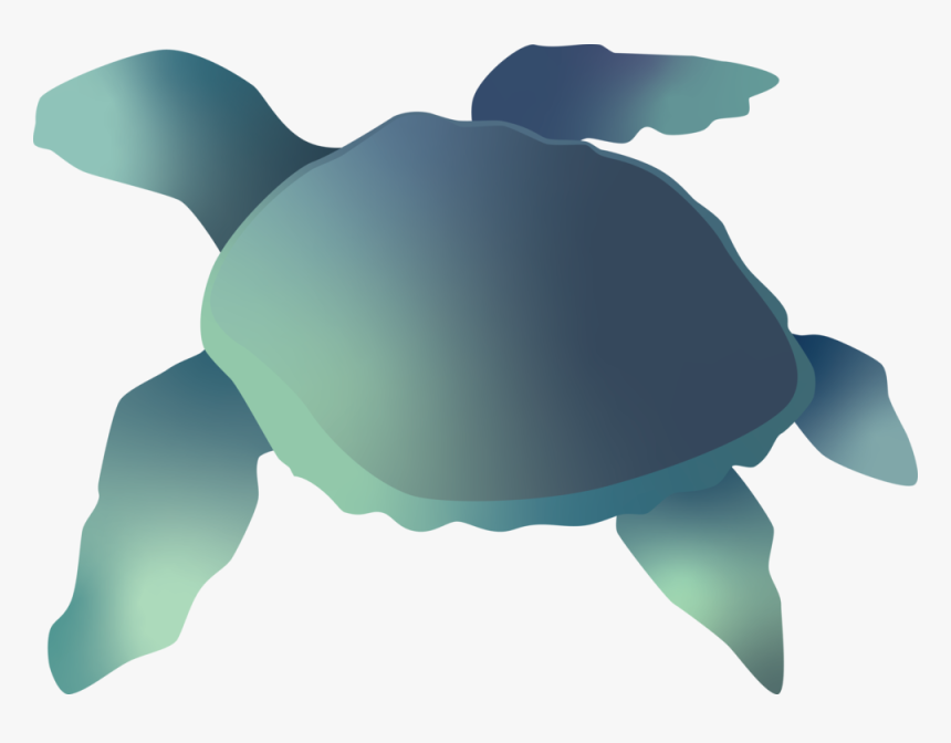 Sea Turtle Png, Transparent Png
