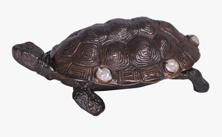 Sea Turtle Png, Transparent Png