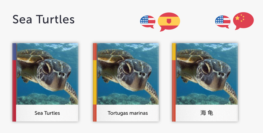 Sea Turtle Png, Transparent Png