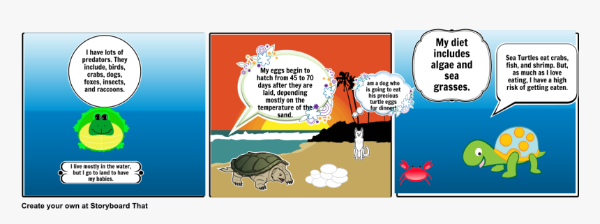 Sea Turtle Png, Transparent Png