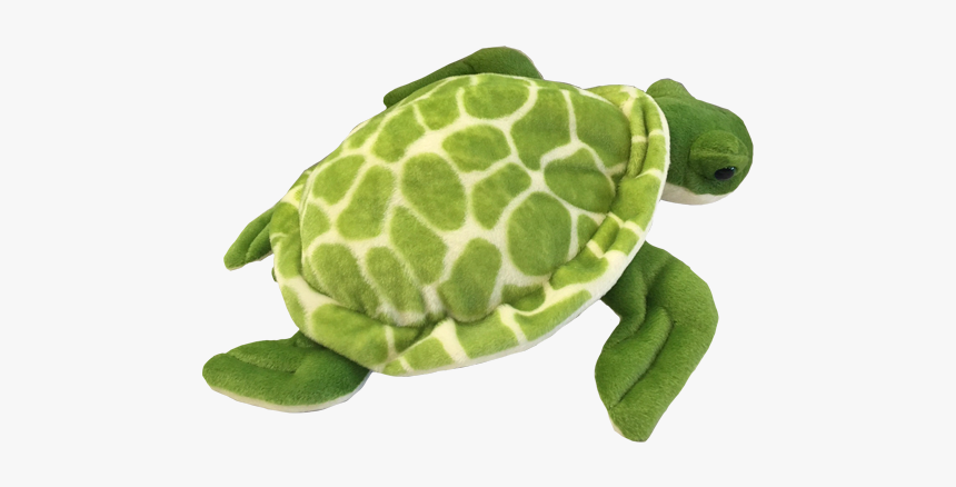 Sea Turtle Png, Transparent Png